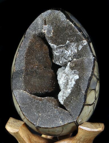 Septarian Dragon Egg Geode - Black Crystals #36094
